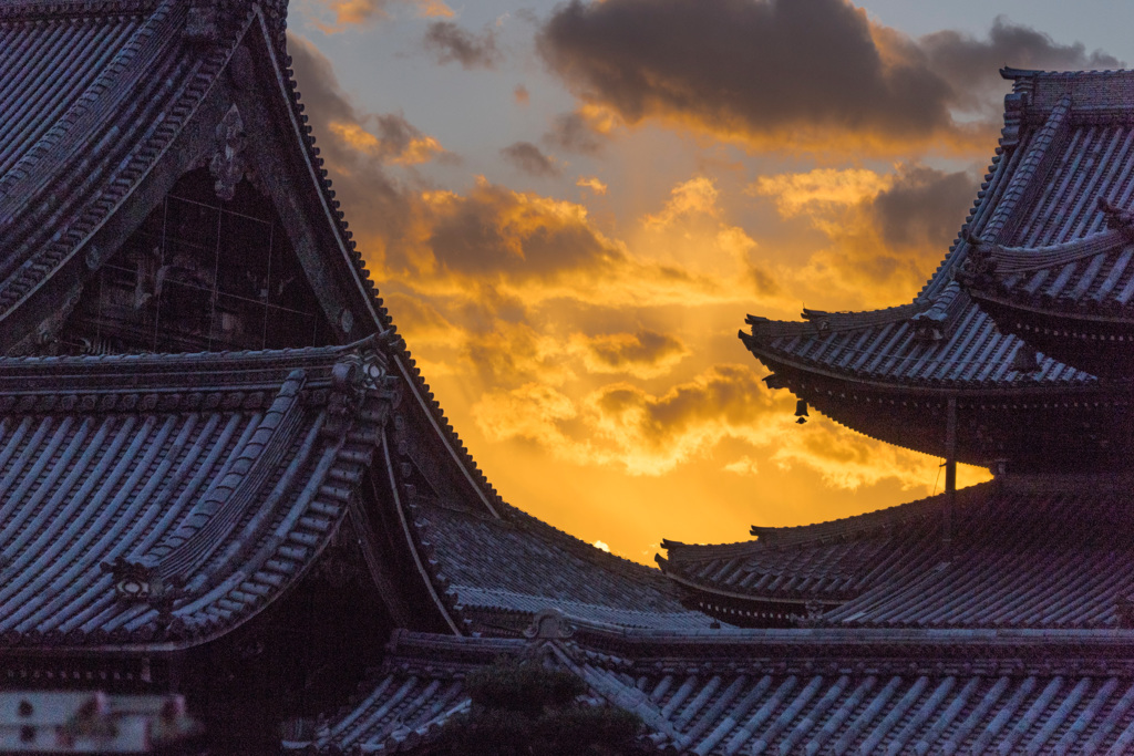 京都の落日