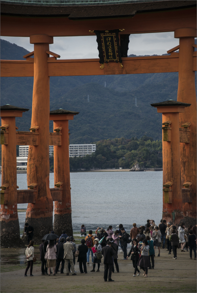 宮島 大鳥居