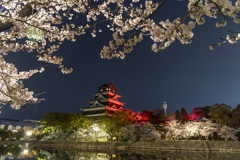 夜桜と広島城