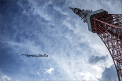 渋めの東京タワー