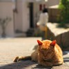 ひなたぼっこ