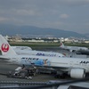 伊丹空港で日本航空特別塗装機集結