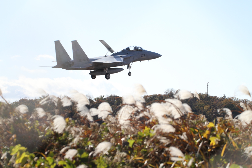 小さな秋とF15