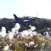 小さな秋とF2