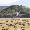 航空自衛隊ステルス戦闘機　F35A正面