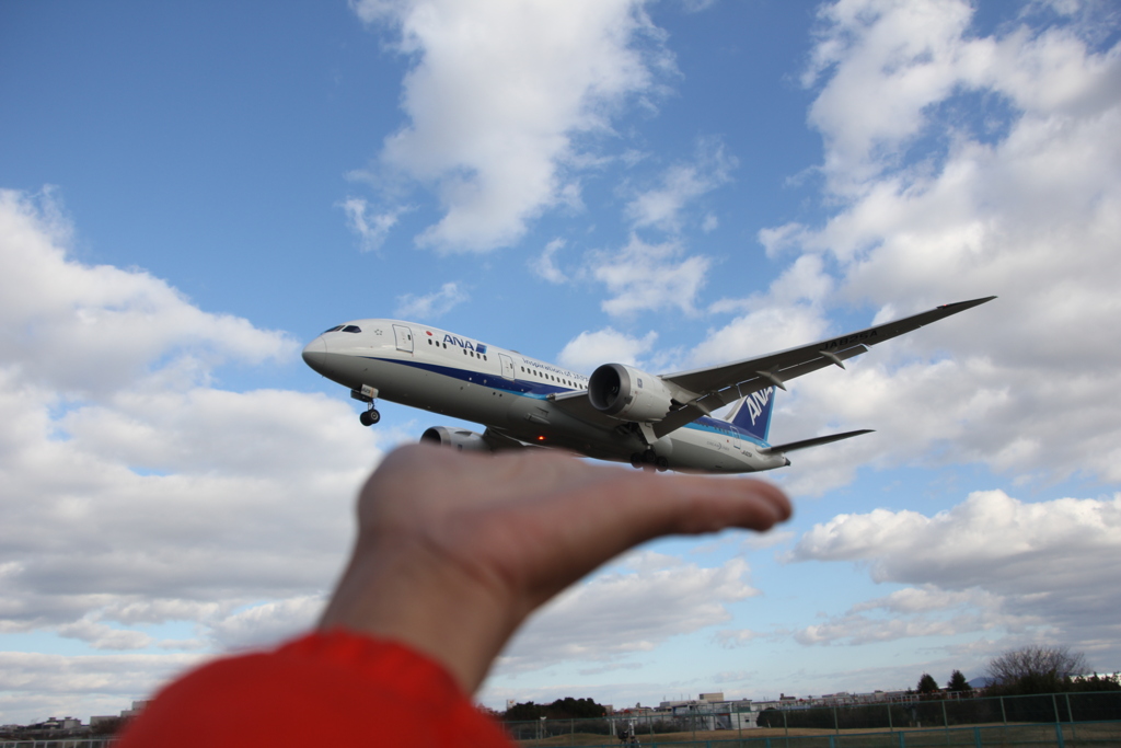 伊丹空港　手乗り旅客機 ANA ボーイングB787-8