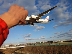 伊丹空港　スマホ挑戦  旅客機を掴む JAL B787-8