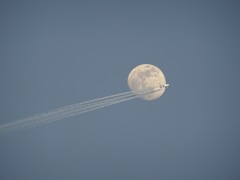 月丼　飛行機雲
