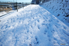 雪_a