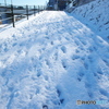 雪_a
