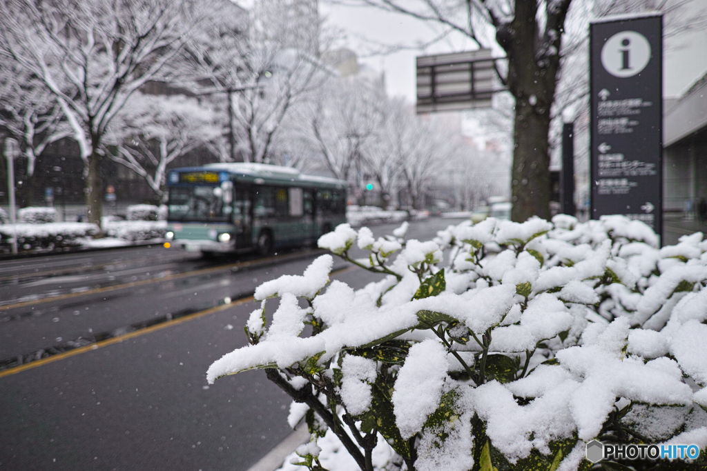 雪_b
