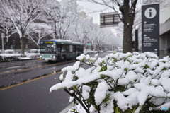 雪_b