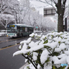 雪_b