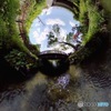 水路の表情1