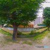 いつもの公園