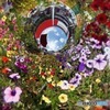 お花買ってね！２