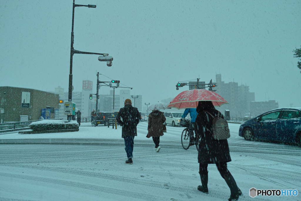 雪_c