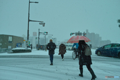 雪_c