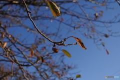 DSC_7830