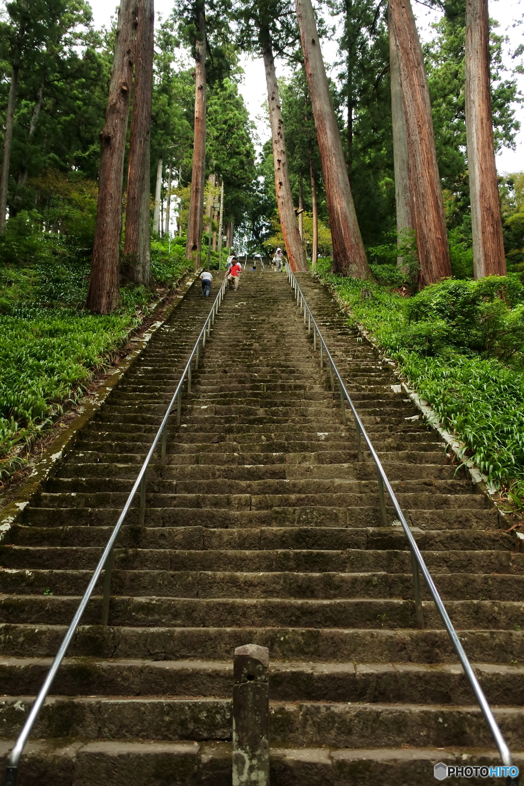 DSC_4267