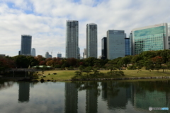 DSC_4584