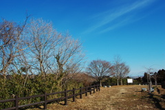 D40の青