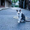 孤高