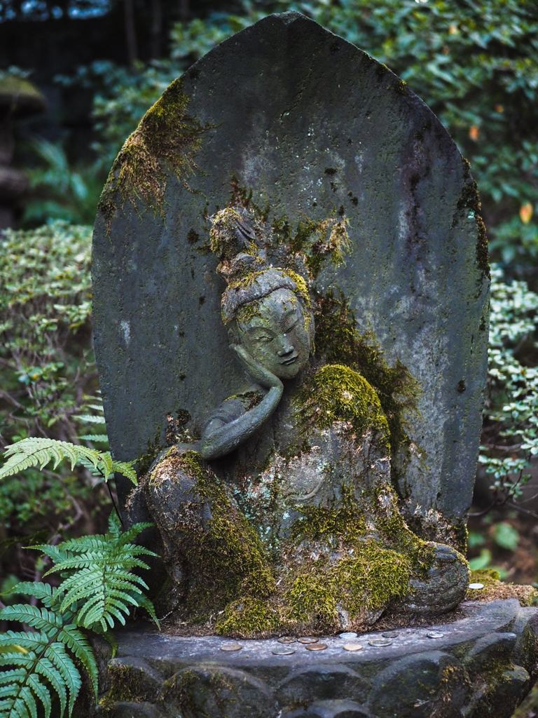 苔のむすまで