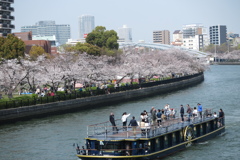 春の大川