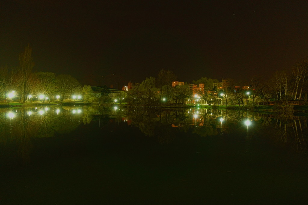 公園の夜景
