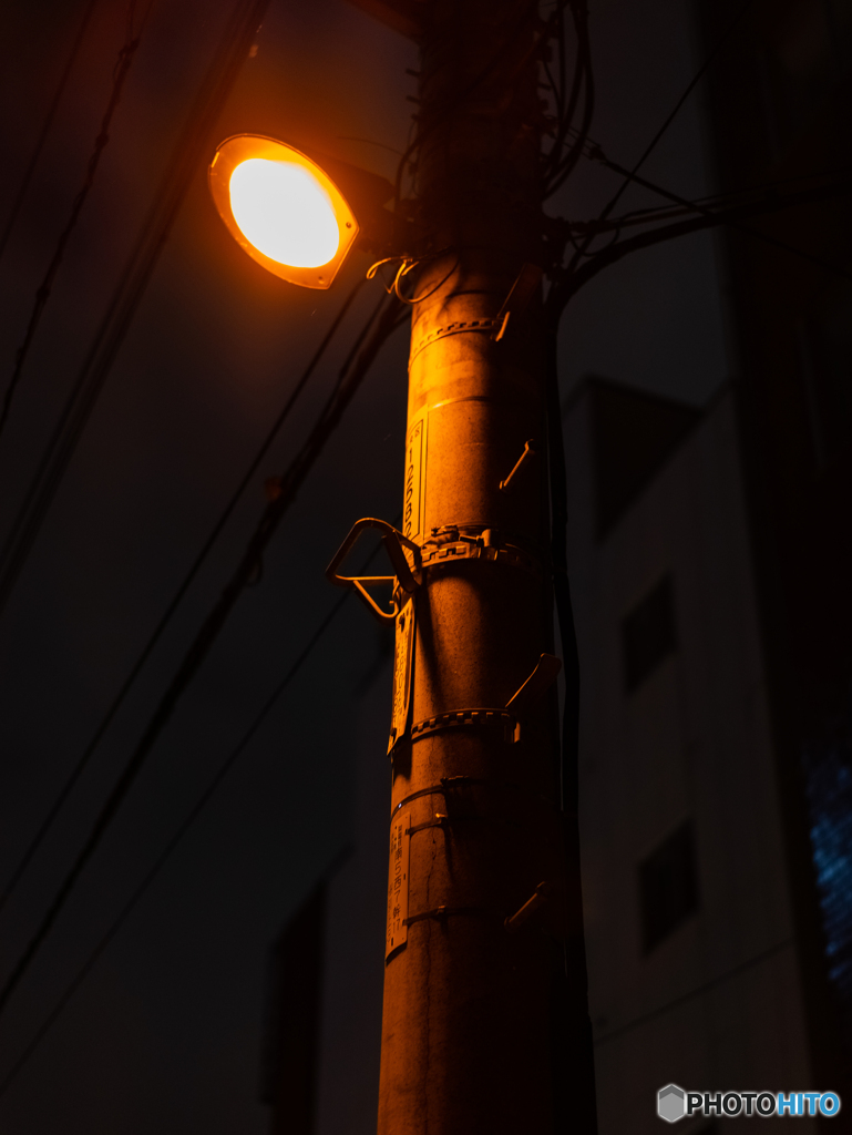 電灯