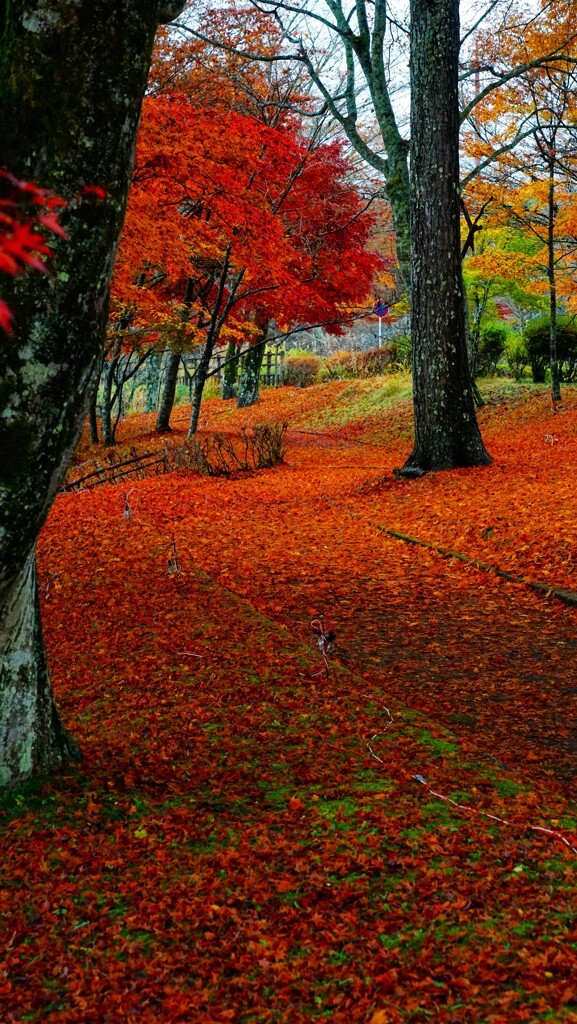 季節が隠したもの