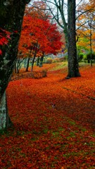 季節が隠したもの