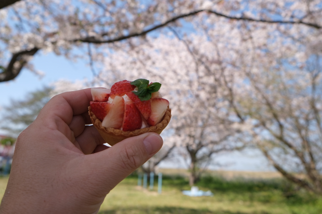 花よりタルト