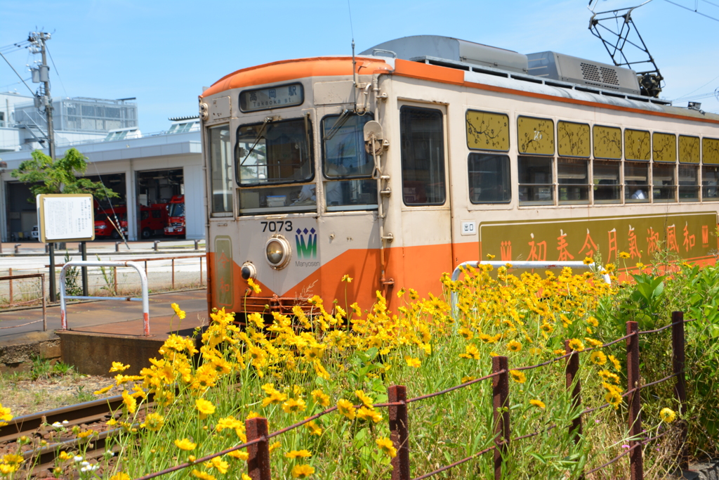 万葉（集）線 令和電車 西新湊駅 (6)