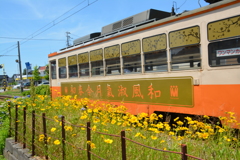 万葉（集）線 令和電車 西新湊駅 (8)