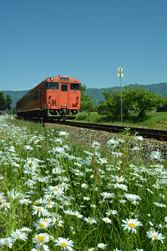 城端線越中山田駅 (9)