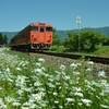 城端線越中山田駅 (9)