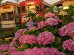 万葉線西新湊駅 (5)