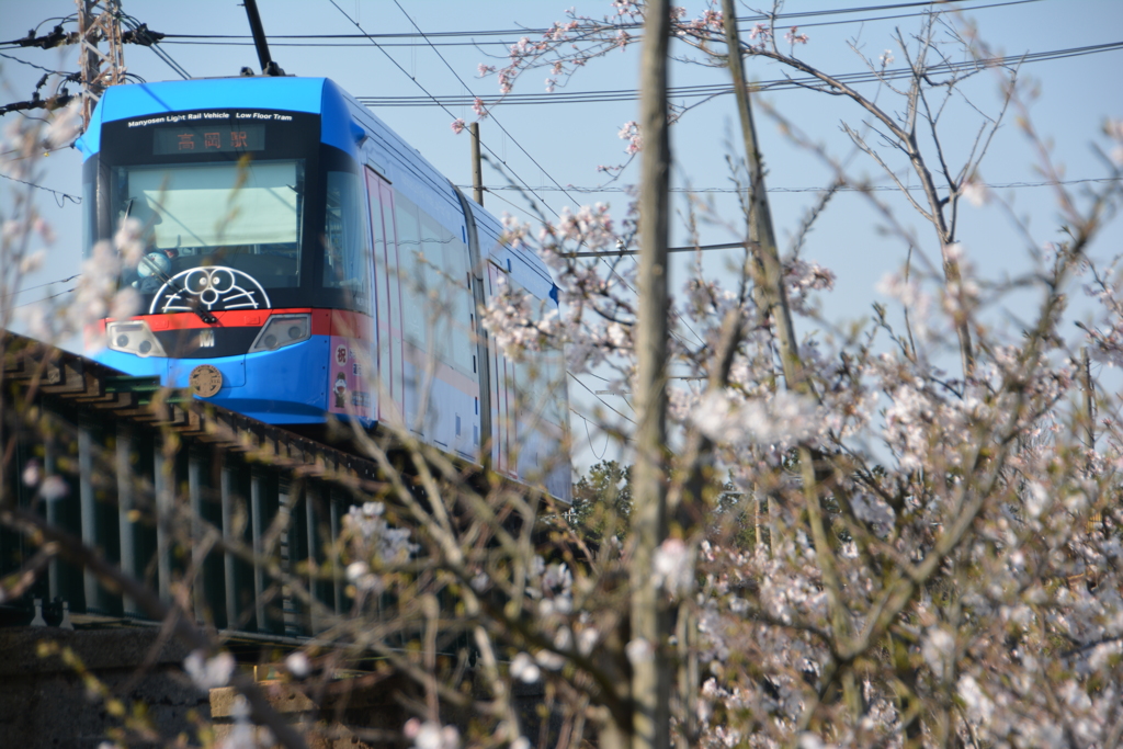 ドラえもん電車万葉線