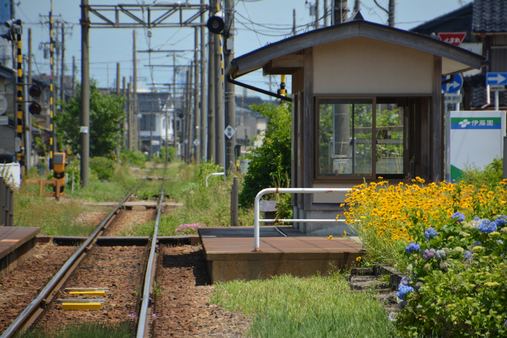 万葉（集）線 令和電車 西新湊駅 (10)