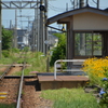 万葉（集）線 令和電車 西新湊駅 (10)
