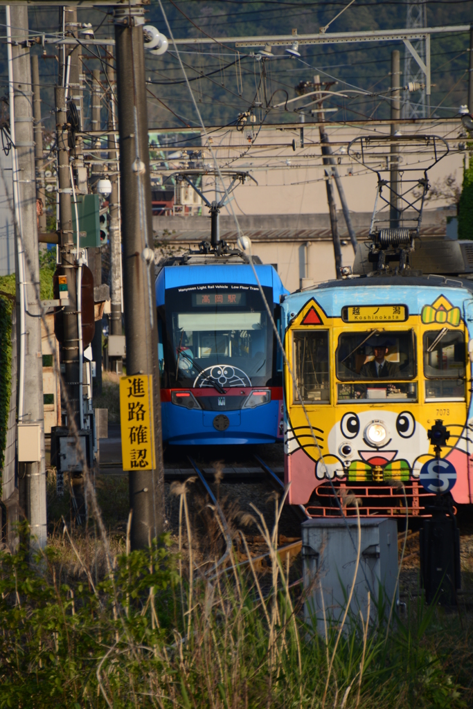 ドラえもん電車ねこ電車万葉線