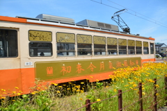 万葉（集）線 令和電車 西新湊駅 (7)