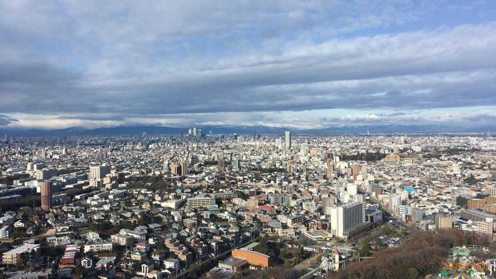 展望台からの景色
