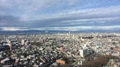 展望台からの景色