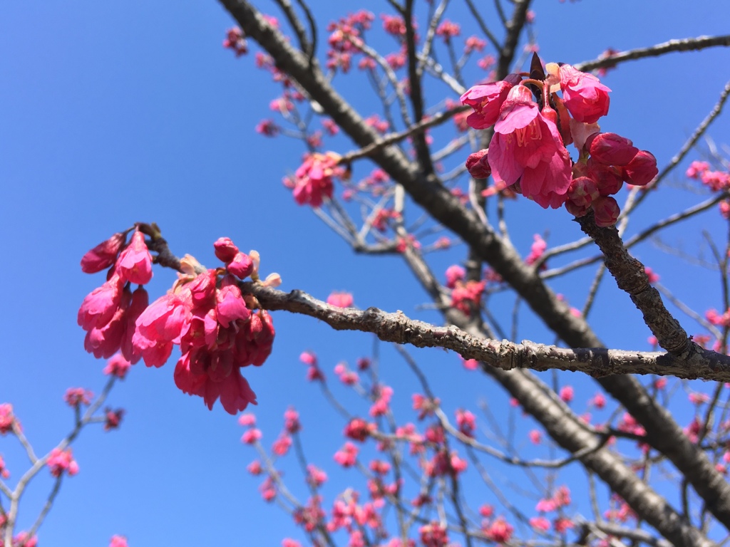 一宮市にて