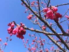 一宮市にて