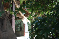 諏訪神社