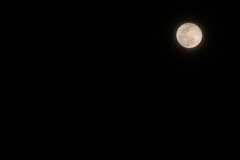 月